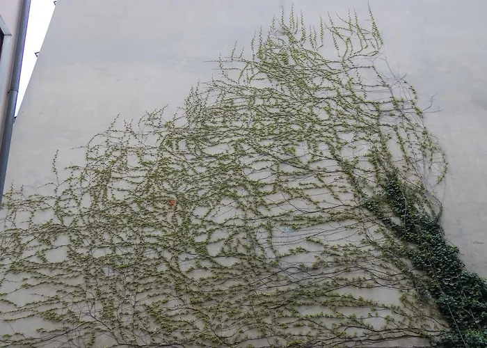 Staycomfort Kreuzberg * Berlín