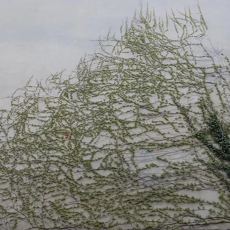 Staycomfort Kreuzberg * Берлин