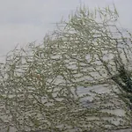 Staycomfort Kreuzberg * Berlin